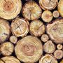 Stacked Wooden Stumps Wallpaper Mural