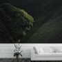 Aerial Nature Forest on Mountains View Wallpaper Mural
