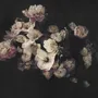 Niederländische Dunkle Blumen Fototapete