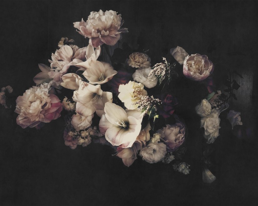 Niederländische Dunkle Blumen Fototapete
