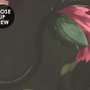 Fleur hollandaise Pivoine avec tulipes Papier peint panoramique foncé