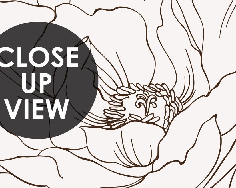 Poppy Drawing Floral Wallpaper Mural