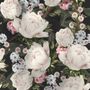 Fototapete Leichte Blütenblumen