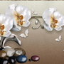 Fototapete mit 3D-Effekt: Orchideenblüten und Kieselsteine