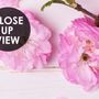 Pink Peony Floral Wallpaper Mural