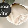 Schöne weiße Rosen und Schmetterlinge Fototapete