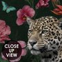 Elegant Tropical Botanical Floral and Leopard Wallpaper 