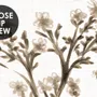 Monochrome Botanical Plants Chinoiserie Wallpaper Mural