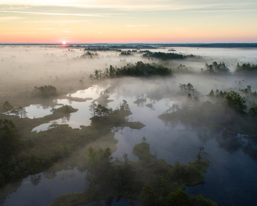 Foggy Rive Forest Landscape Wallpaper Mural