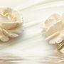Cream Rose Floral with Water Pattern Wallpaper Mural