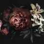 Dark Floral Bouquet with Red Peony and Lily Wallpaper Mural