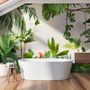 Realistic Tropical Jungle Plants Landscape Wallpaper Mural