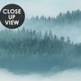 Misty Forest Landscape Wallpaper Mural