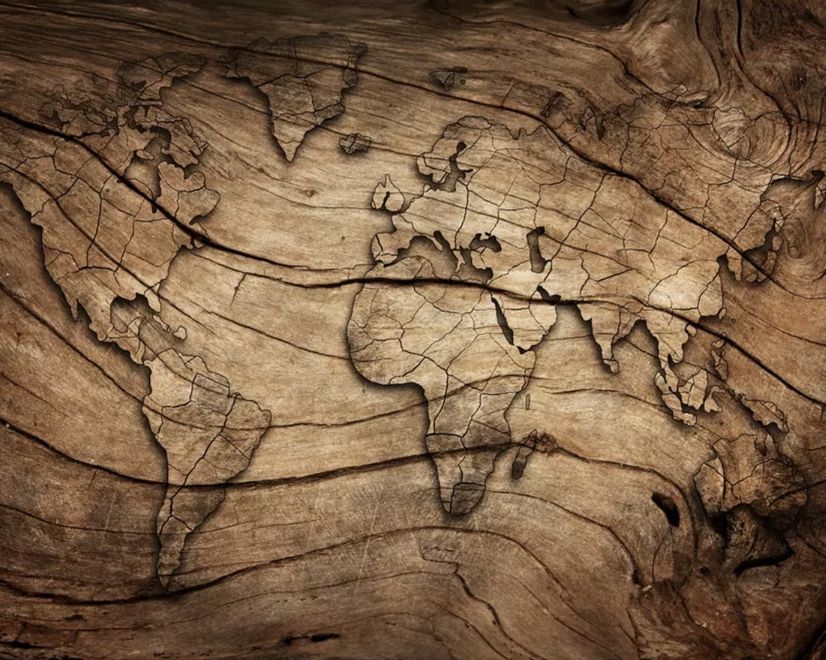 Vintage Wood World Map Wallpaper Mural