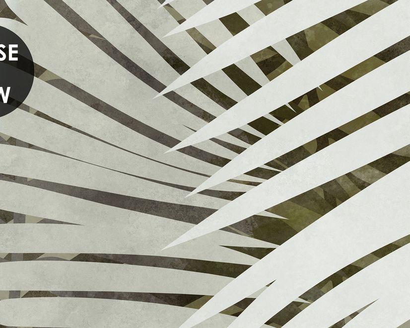 Neutral Tropical Palm Leaf Wallpaper Mural
