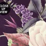 Vintage Dark Floral Bouquet Wallpaper Mural