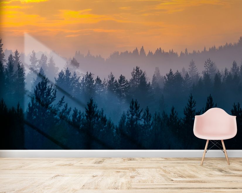 Misty Pine Forest Landscape Wallpaper Mural
