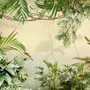 Magical Tropical Rainforest Wallpaper Mural
