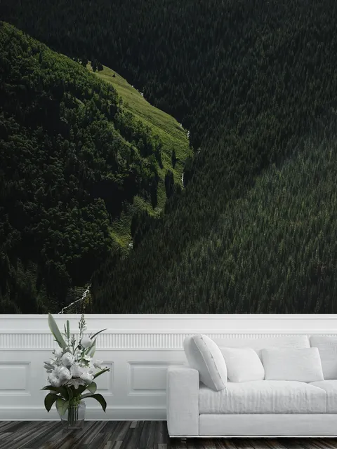 Aerial Nature Forest on Mountains View Wallpaper Mural