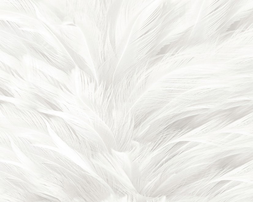Papier peint panoramique monochrome à motif de plumes