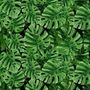 Green Tropical Leaves Wallpaper Mural