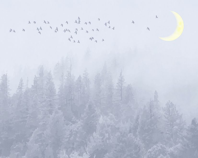 Monochrome Night Forest and Birds Wallpaper Mural