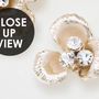 Cream Jewellery Rose Floral Wallpaper Mural