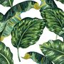 Tropical Banana Leaf Wallpaper Mural