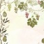 Papier peint panoramique vignes tropicales et fruits du durian