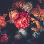 Red Hydrangea Orange Orchid Rose Dark Floral Bouqet Wallpaper Mural
