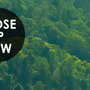 Green Mountain Silhouette Wallpaper Mural