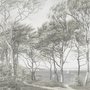 Coastal woodland wallpaper mural with grey trees, sandy path, sea horizon and small white sailboats