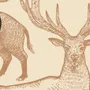 Nordic Animal Drawing for Kids Wallpaper Mural