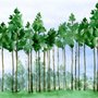 Papier peint panoramique de peupliers de dessins animés