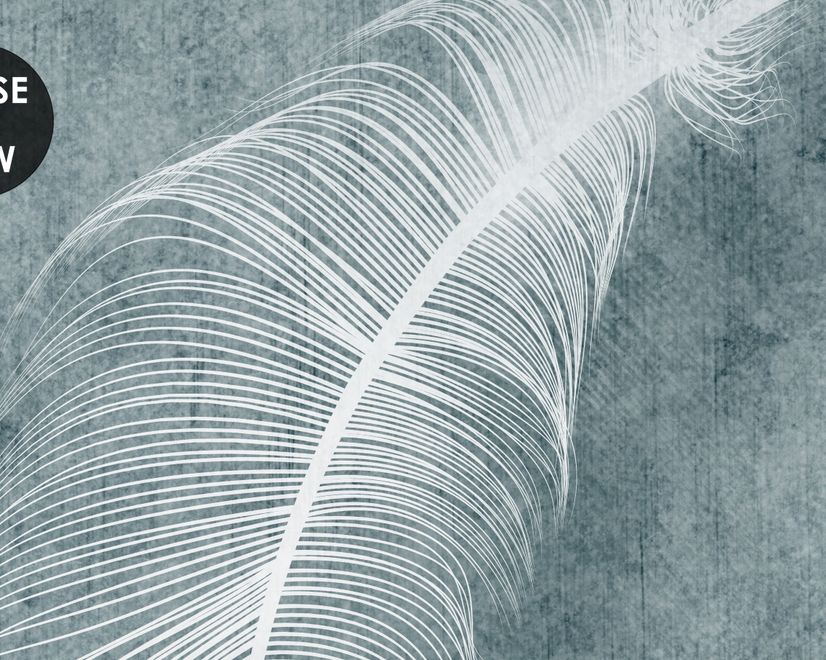 Vintage White Feather Pattern Wallpaper Mural