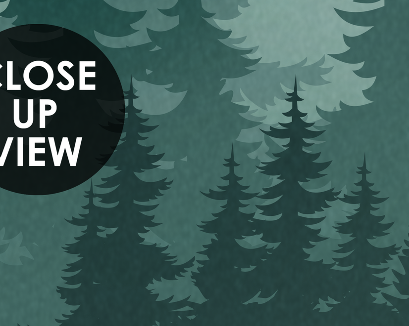 Misty Forest Landscape and Horned Deer Wallpaper Mural