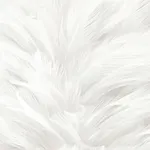 Feathers Wallpaper