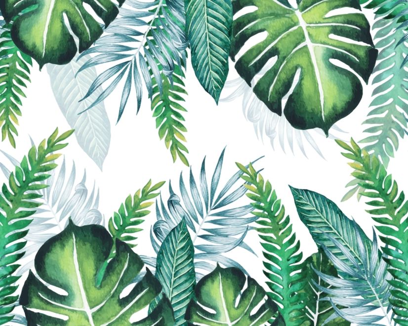 Tropical Palm Leaf Wallpaper Mural