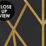 Luxury Geometric Lines  Art Deco Wallpaper Mural