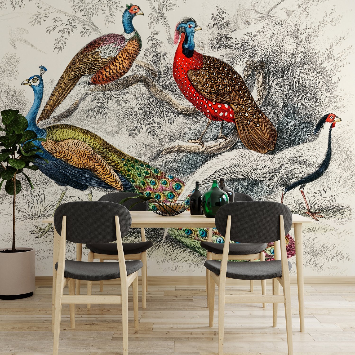Historical Vintage Peacock Art Wallpaper Mural - Peel and Stick