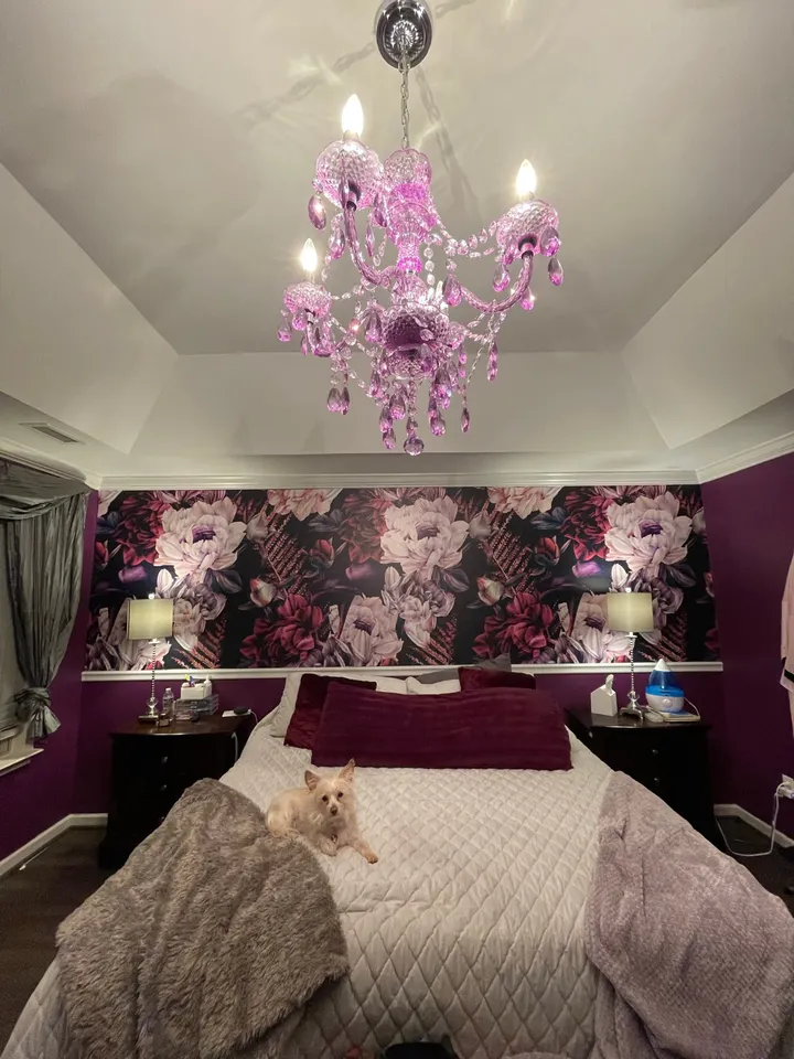 Dark Watercolor Colorful Peony Floral Wallpaper Mural