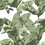 Papier peint feuilles banane tropicales vertes fleurs calla
