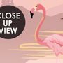 Papier peint paysage rose au lever du soleil avec des flamants roses