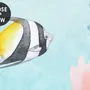 Kids Nursery Undersea with Submarine Wallpaper Mural