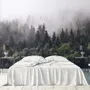 Misty Pine Forest Wallpaper Mural