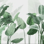 Fresh Green Tropical Leaf Wallpaper Mural