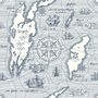 Travel Map Wallpaper Mural