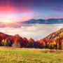 Colorful Nature Autumn Wallpaper Mural