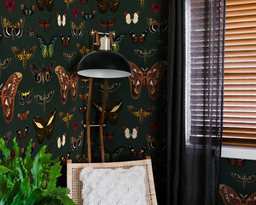 Papier peint motifs papillons colorés fond vert