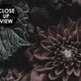 Dark Floral Hydrangea Wallpaper Mural